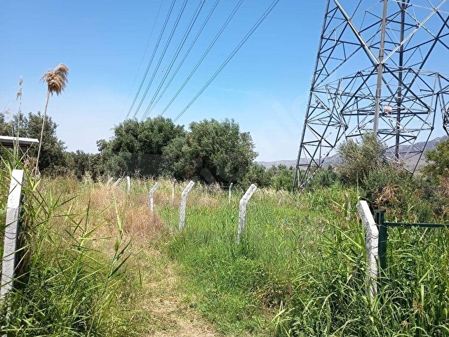 MENEMEN BELENDE 224 M2 ETRAFI ÇEVRİLİ TARLA - Görsel 4