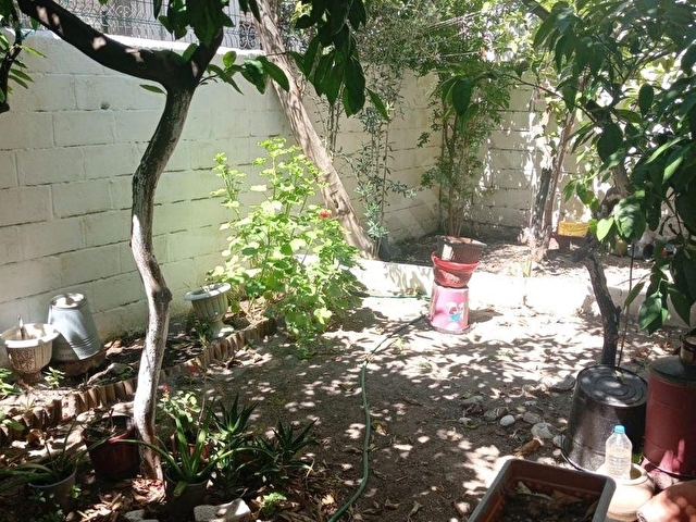 AYVALIK MERKEZDE BAHÇELİ RUM EVİ - Görsel 19