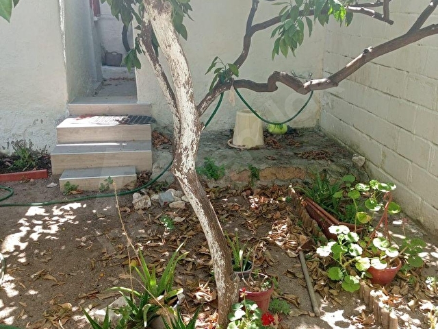 AYVALIK MERKEZDE BAHÇELİ RUM EVİ - Görsel 18