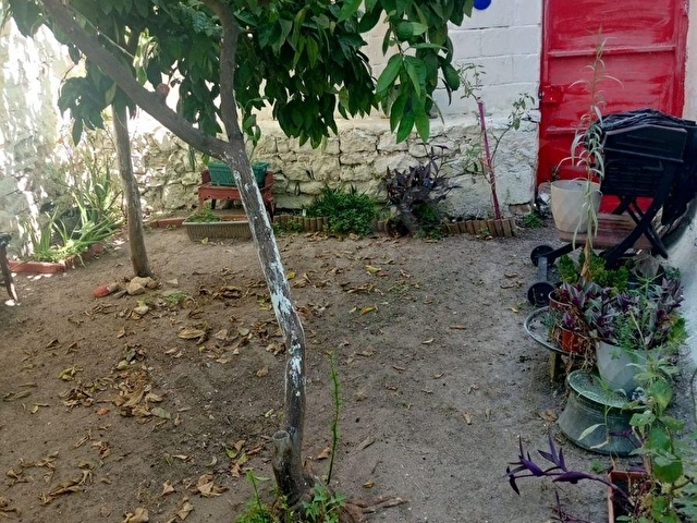 AYVALIK MERKEZDE BAHÇELİ RUM EVİ - Görsel 30