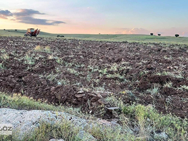 ESKİŞEHİR HANDA SATILIK 12.500M2 SATILIK ARSA EKİM YAPILMAKTA - Görsel 3
