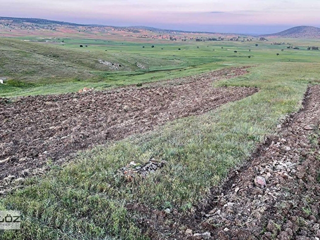 ESKİŞEHİR HANDA SATILIK 12.500M2 SATILIK ARSA EKİM YAPILMAKTA - Görsel 2