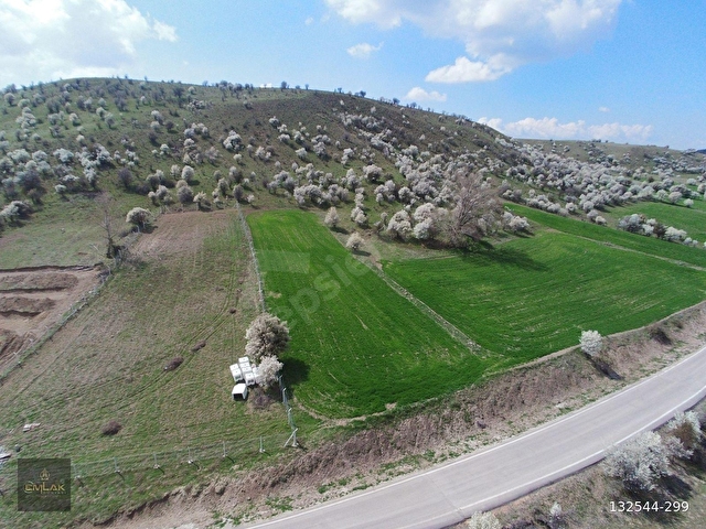 AYAŞTA ASFALT KENARI TEK TAPU 2.060 m2 TARLA - Görsel 4