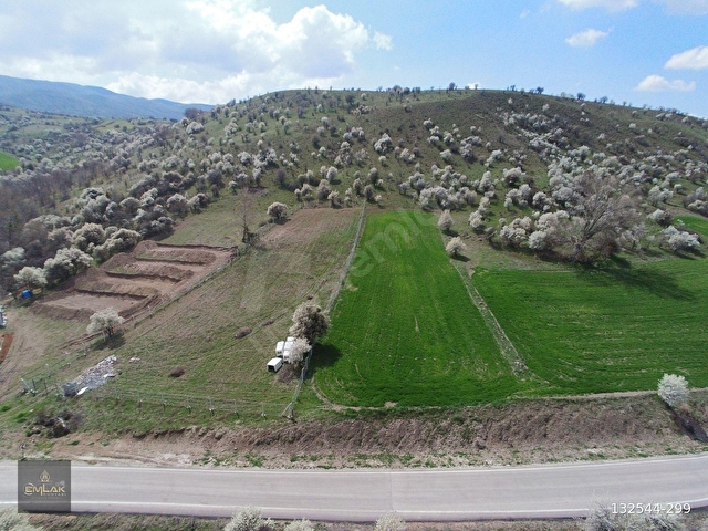 AYAŞTA ASFALT KENARI TEK TAPU 2.060 m2 TARLA - Görsel 6