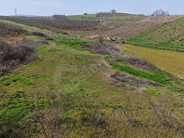 SAKARYA SÖĞÜTLÜ SIRAKÖY 3460 M² RESMİ YOLLU SATILIK TARLA