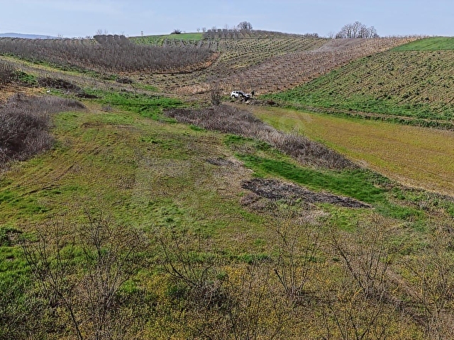 SAKARYA SÖĞÜTLÜ SIRAKÖY 3460 M² RESMİ YOLLU SATILIK TARLA - Görsel 6