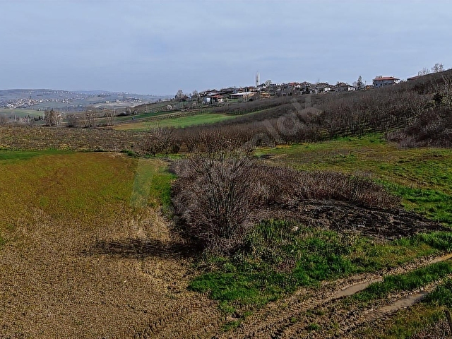SAKARYA SÖĞÜTLÜ SIRAKÖY 3460 M² RESMİ YOLLU SATILIK TARLA - Görsel 19