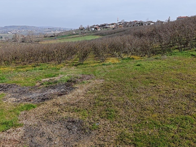 SAKARYA SÖĞÜTLÜ SIRAKÖY 3460 M² RESMİ YOLLU SATILIK TARLA - Görsel 9