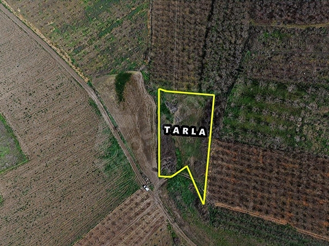 SAKARYA SÖĞÜTLÜ SIRAKÖY 3460 M² RESMİ YOLLU SATILIK TARLA - Görsel 2