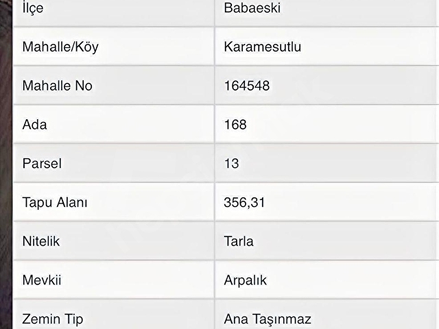 BABAESKİ KARAMESUTLU DA DUBLE YOL CEPHE 356 M2 SATILIK TARLA - Görsel 10