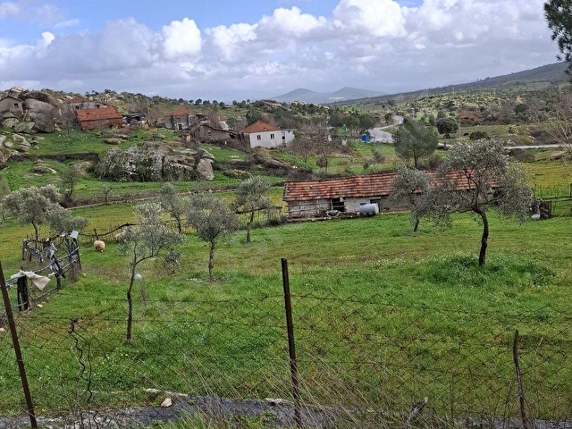 MUĞLA YATAĞAN SATILIK TARAL BAHCE - Görsel 2