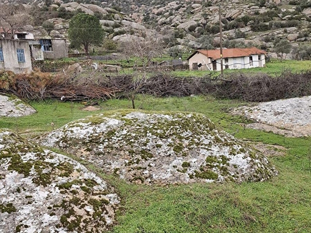 MUĞLA YATAĞAN SATILIK TARAL BAHCE - Görsel 4