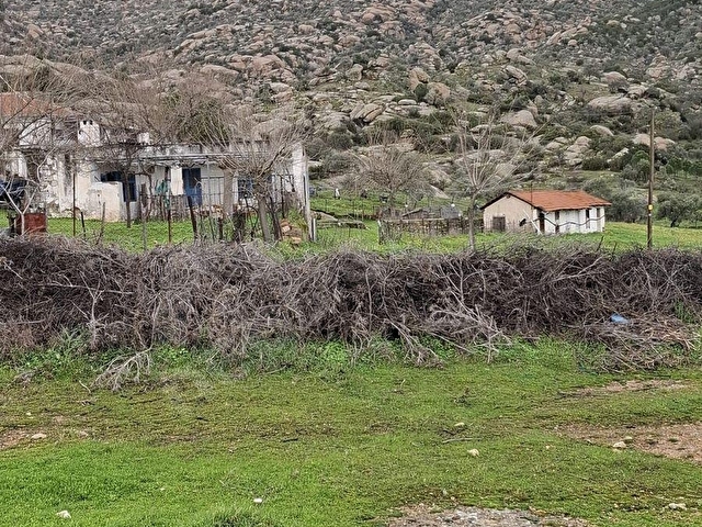 MUĞLA YATAĞAN SATILIK TARAL BAHCE - Görsel 3
