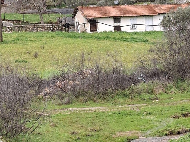 MUĞLA YATAĞAN SATILIK TARAL BAHCE - Görsel 9