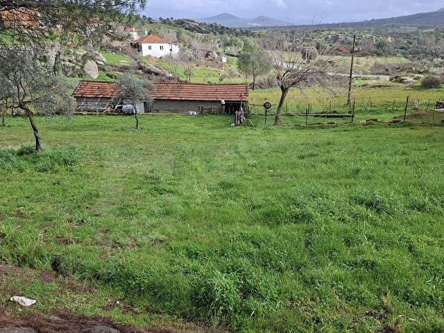 MUĞLA YATAĞAN SATILIK TARAL BAHCE - Görsel 7