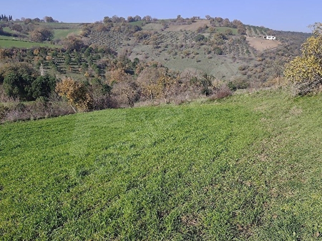 BALIKESİR KÜRSE KÖYÜNDE KÖY İÇİNDE MÜKEMMEL YERDE İMARA AÇIK ARSA - Görsel 4