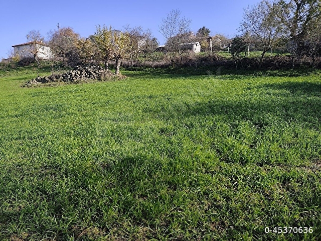 BALIKESİR KÜRSE KÖYÜNDE KÖY İÇİNDE MÜKEMMEL YERDE İMARA AÇIK ARSA - Görsel 16