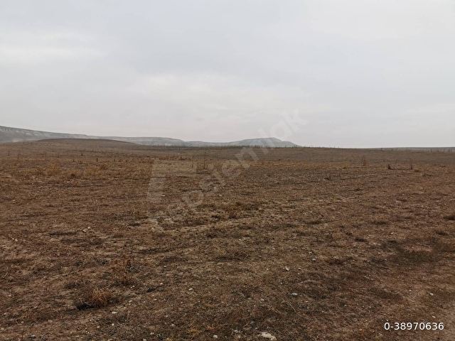 ESKİŞEHİR EMİRCİKDE 95 DÖNÜM 1/2 HİSSELİ ARAÇ TAKAS OLUR - Görsel 3