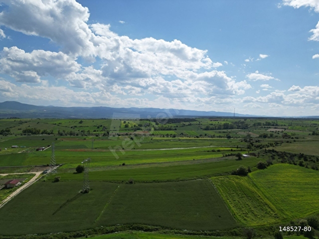 DEVREKANİ YOLU ANA ASFALTINA 100 METRE TARLA - Görsel 6