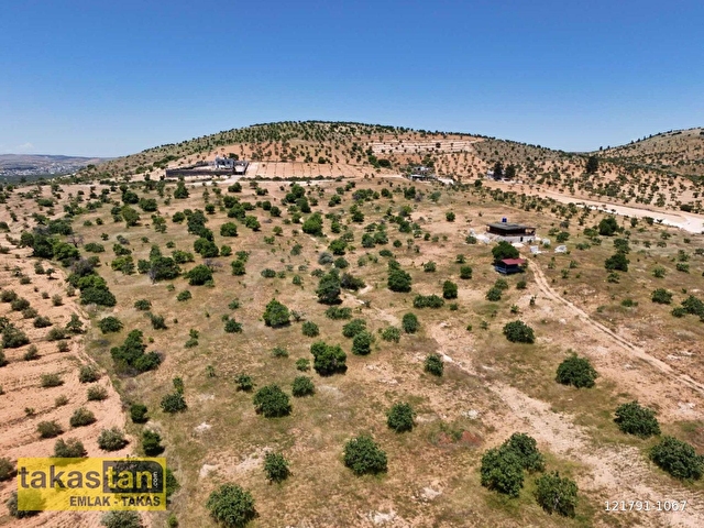 BATTAL FUL FISTIK ASFALT ÜZERİ BAĞ EVİ VE YATIRIMA UYGUN ARAZİ - Görsel 8