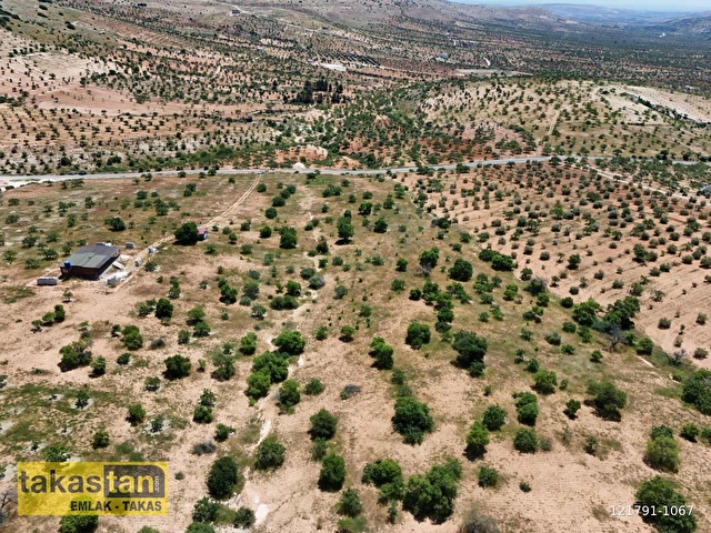 BATTAL FUL FISTIK ASFALT ÜZERİ BAĞ EVİ VE YATIRIMA UYGUN ARAZİ - Görsel 3
