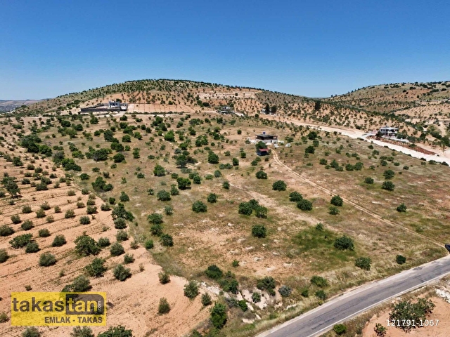 BATTAL FUL FISTIK ASFALT ÜZERİ BAĞ EVİ VE YATIRIMA UYGUN ARAZİ