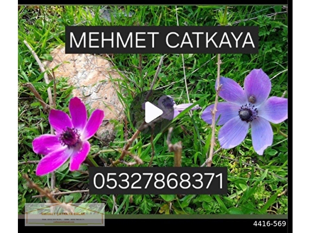 HAYMANADA ÇAĞ TERMAL 1. ETAP 15-30 EYLÜL DÖNEMİ KİRALIK DAİRE