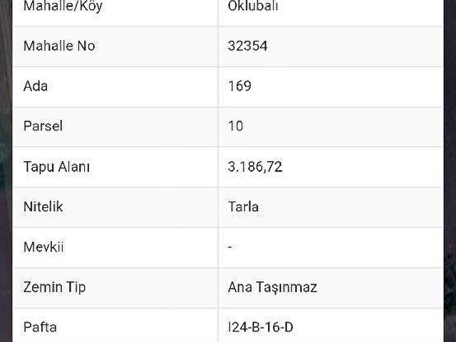 ESKİŞEHİR İNÖNÜ OKLUBALDA YOL CEPHELİ 3000 M2 SATILIK TARLA - Görsel 8