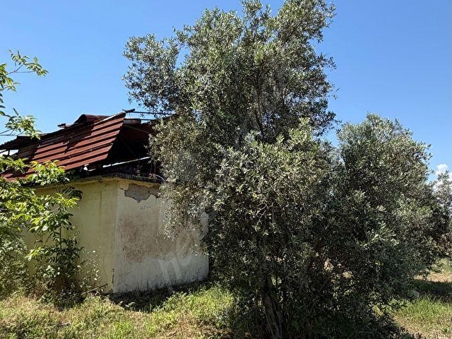 FEVZİ ÇAKMAK MH 5.100 m2 FIRSAT TARLA - Görsel 14