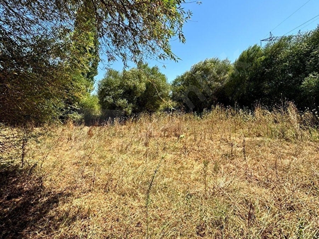 SATILIK 6,234 M2 DÜZ YOLU OLAN TARLA - Görsel 7