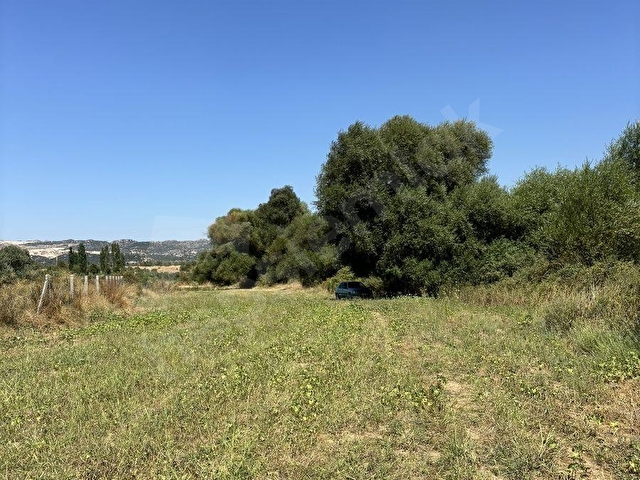 SATILIK 6,234 M2 DÜZ YOLU OLAN TARLA - Görsel 3