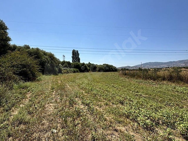SATILIK 6,234 M2 DÜZ YOLU OLAN TARLA - Görsel 9