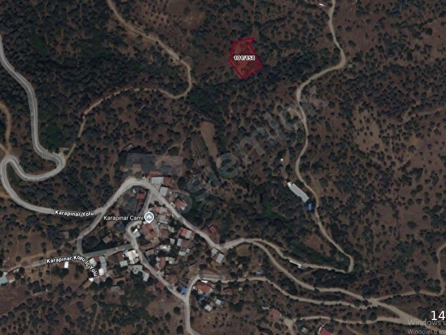 GO/ONDAN İZMİR BAYINDIR KARAPINARDA SATILIK 1000m2 ZEYTİNLİK - Görsel 6