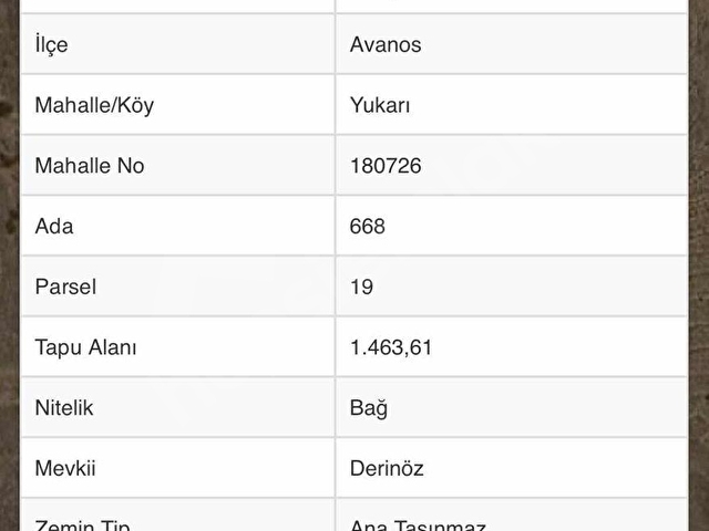 MAVİRA GAYRİMENKULDEN AVANOS YUKARI MAHALLEDE YATIRIMLIK ARAZİ - Görsel 2