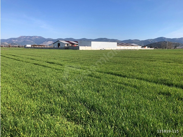 KARAPINAR KÖYÜNDE 10.266 M2 SATILIK TARLA - Görsel 2