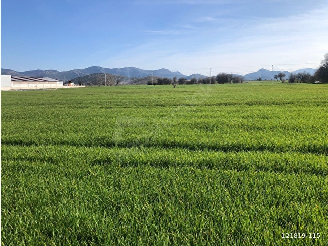 KARAPINAR KÖYÜNDE 10.266 M2 SATILIK TARLA - Görsel 5