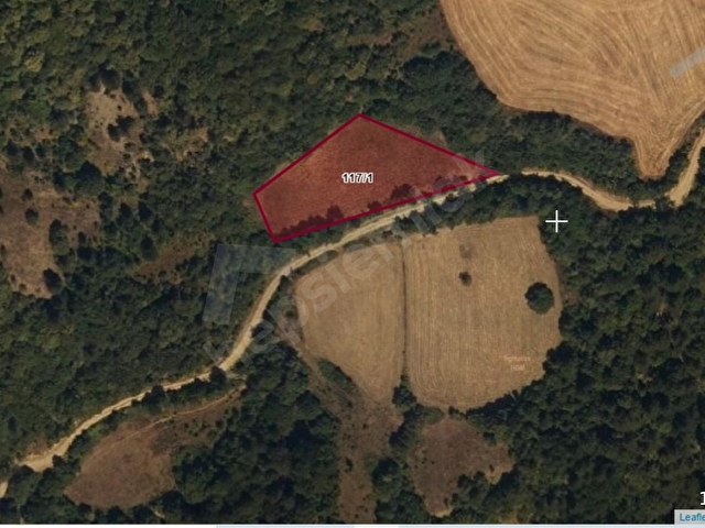 BOLU MERKEZ DERECEÖREN KÖYÜ (3507 m2) YOLA CEPHELİ SATILIK TARLA