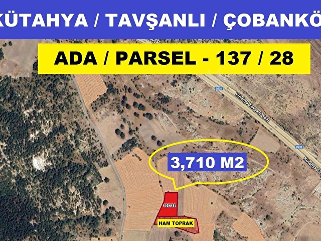 TAVŞANLI ÇOBANKÖYDE YATIRIMLIK 3,710 M2 HAZIR BAHÇE! - Görsel 3