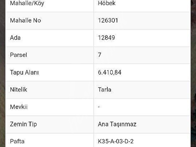 KOCASİNAN HÖBEKTE TARLA