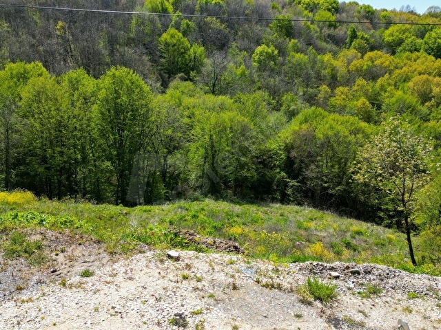 KOCAELİ KARAMÜRSEL PAZARKÖY %5 İMARLI 1376 M2 SATILIK TARLA - Görsel 19