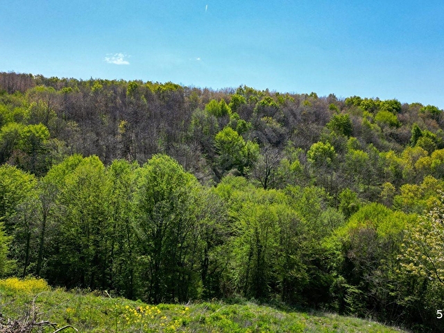KOCAELİ KARAMÜRSEL PAZARKÖY %5 İMARLI 1376 M2 SATILIK TARLA - Görsel 20