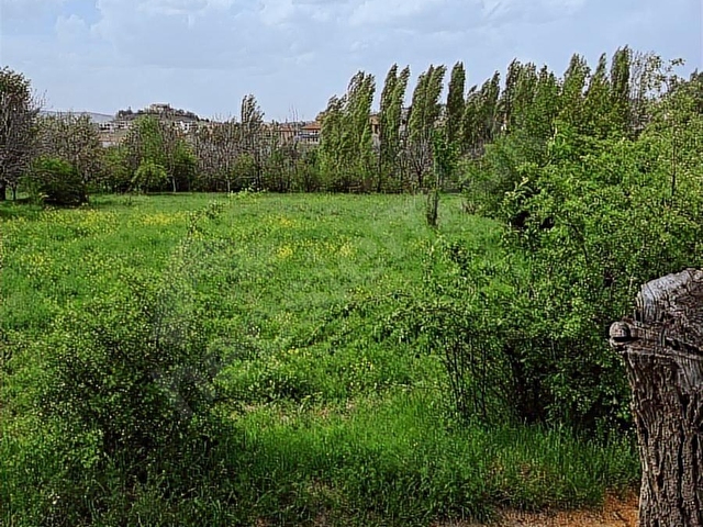 Nevşehir Ürgüp Karaözüde Satılık Bahçe - Görsel 6