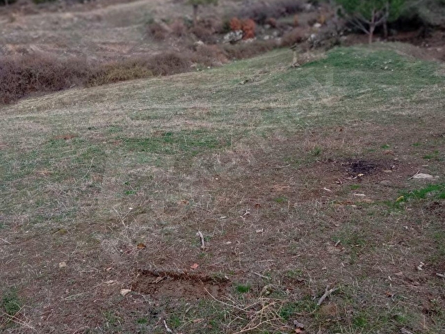 satılık kurucuovada 17730m2 tarla yola sıfır - Görsel 20