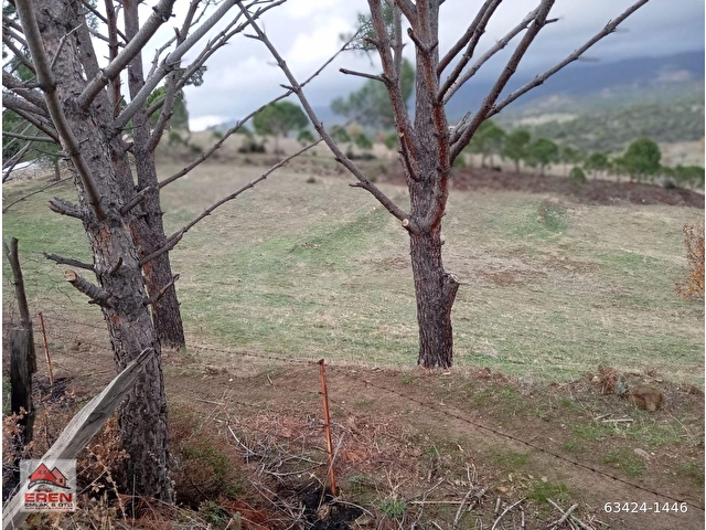 satılık kurucuovada 17730m2 tarla yola sıfır - Görsel 13