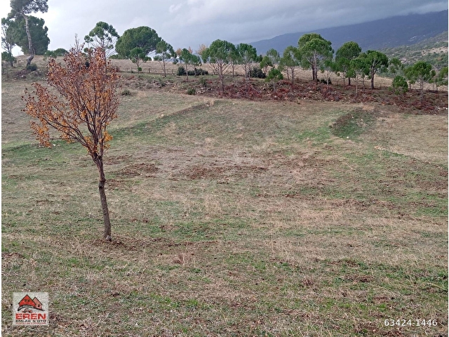 satılık kurucuovada 17730m2 tarla yola sıfır - Görsel 3