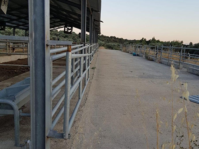 Izmir Kemalpasa Armutlu Da Ciftlik 74075 447 Hurriyet Emlak