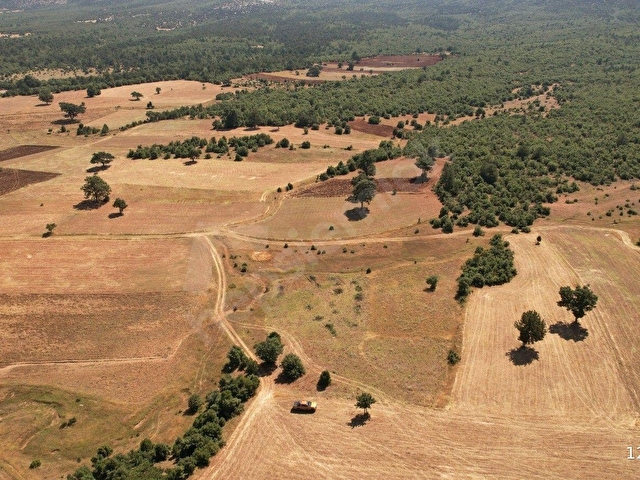 EVLADİYELİK UYGUN FİYATLI YATIRIM, TEK TAPU TEK PARÇA,1348 METRE. - Görsel 15