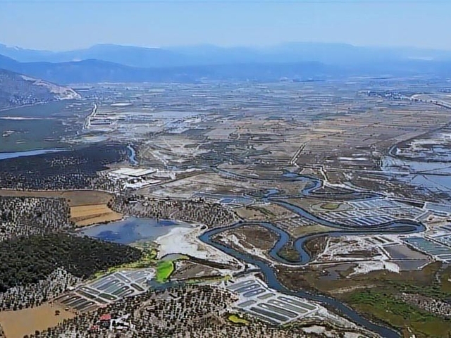 Milas Kıyıkışlacıkta Turizm Bölgesi içinde 500 Dönüm Geniş Arazi - Görsel 3