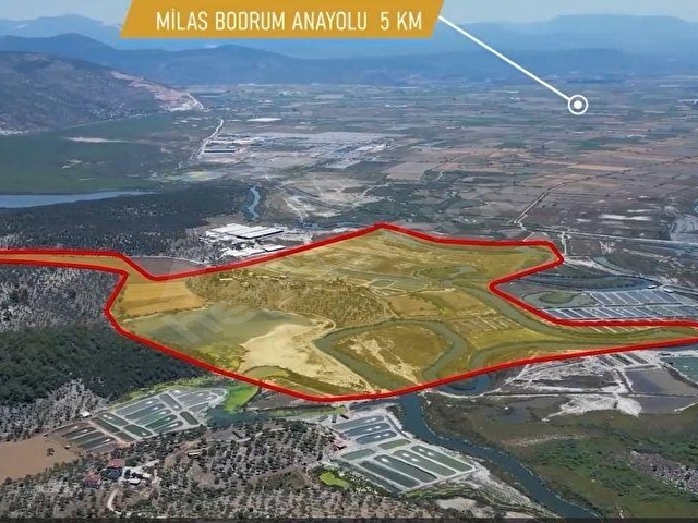 Milas Kıyıkışlacıkta Turizm Bölgesi içinde 500 Dönüm Geniş Arazi - Görsel 7