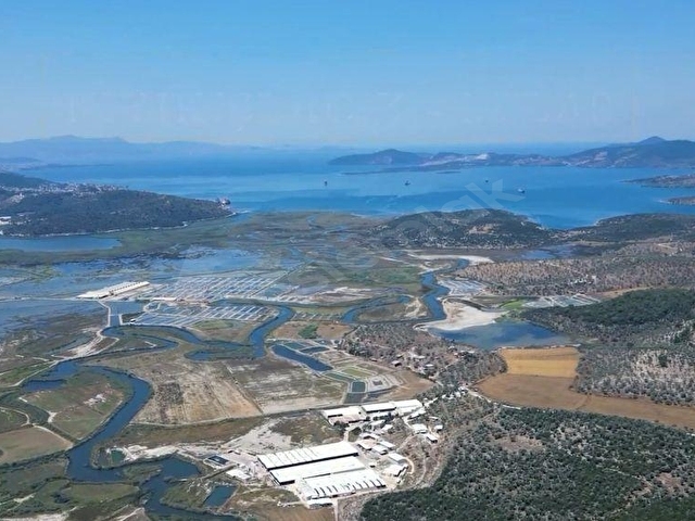 Milas Kıyıkışlacıkta Turizm Bölgesi içinde 500 Dönüm Geniş Arazi - Görsel 9